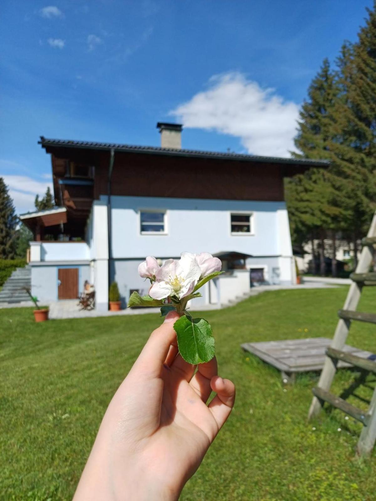 Appartements am See Neukirchen am Großvenediger Extérieur photo
